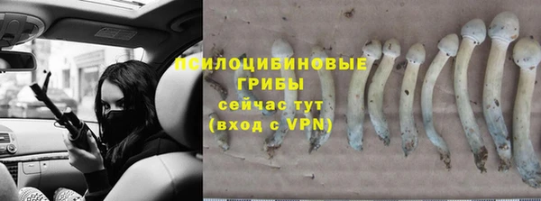 амфетамин Богданович