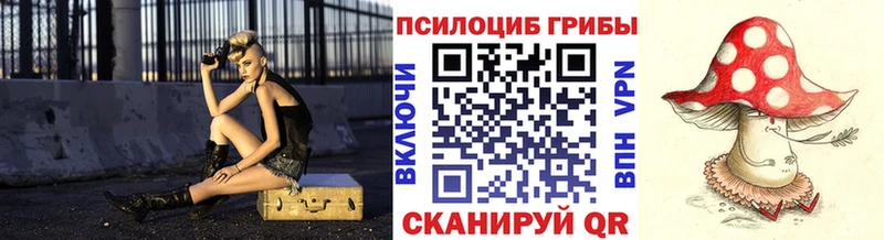 цена Новодвинск Псилоцибиновые грибы Psilocybe
