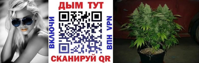 Конопля тримм  Новодвинск 